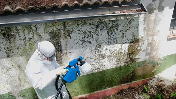 Clearance testing in Brentwood